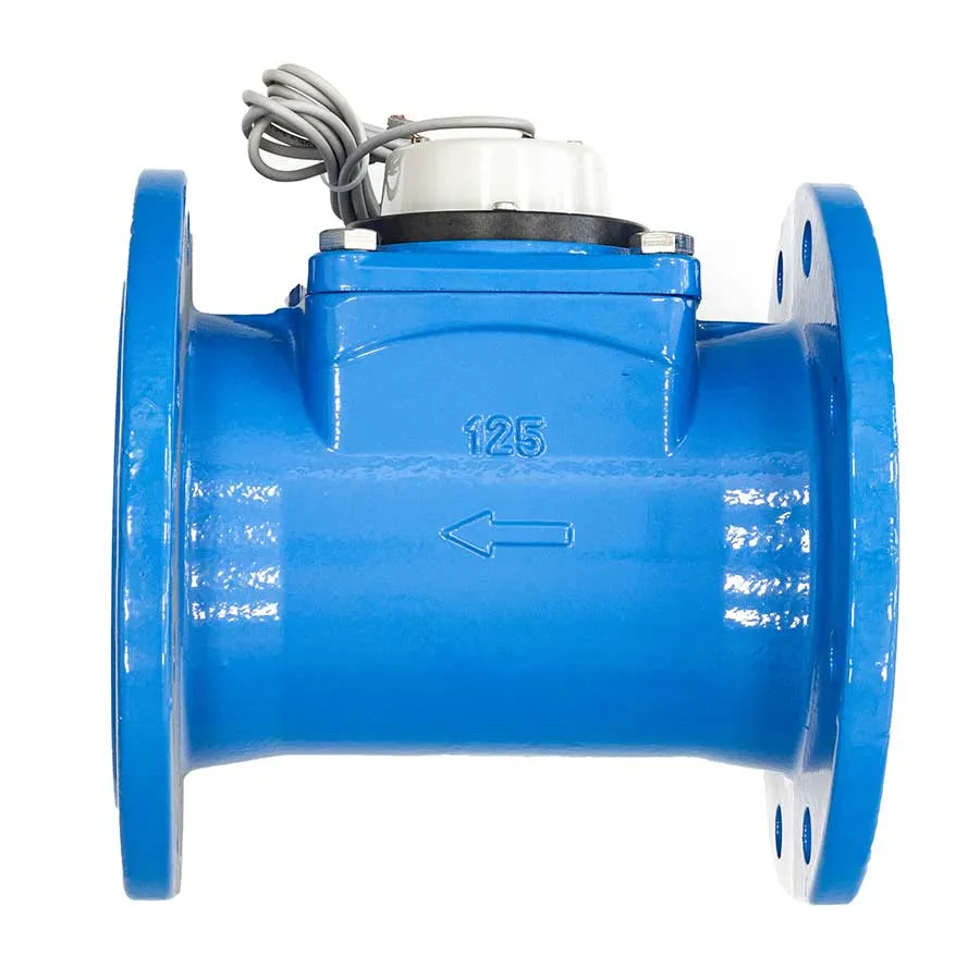 Счетчик воды ВСХНд 125