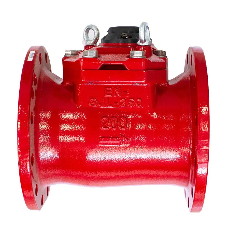 Счетчик воды ВСГН 200